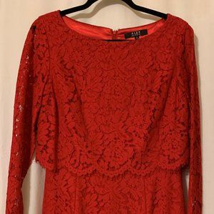 Alex Marie Red Laced Lined Dress